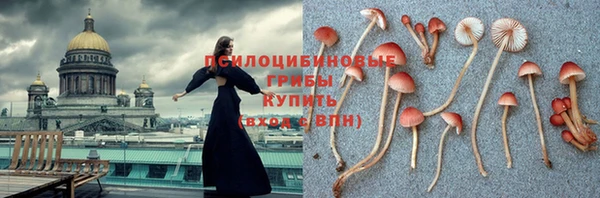 таблы Белокуриха